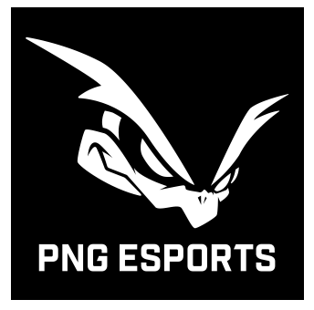 PNG esports(ピーエヌジーイースポーツ)